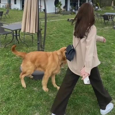 无影之镜
