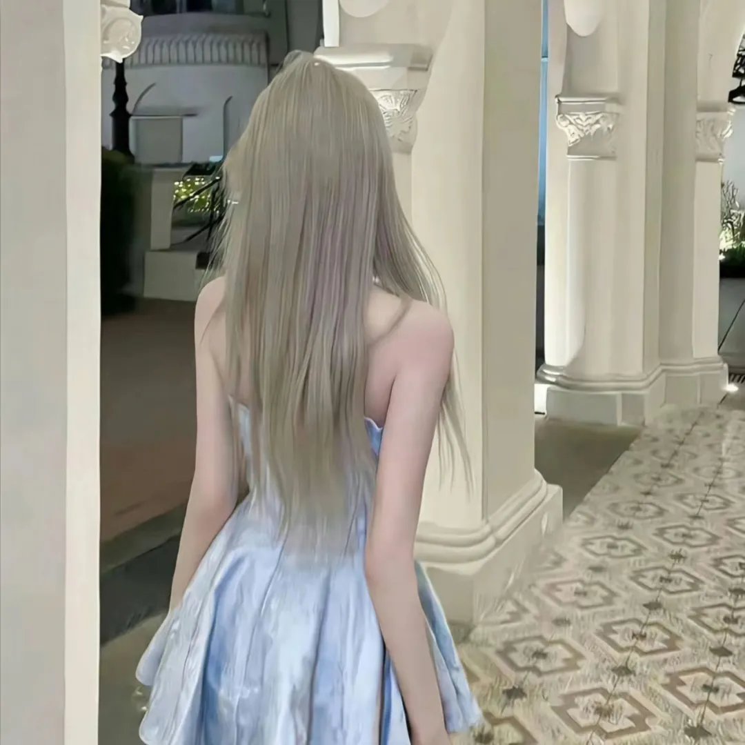 蜘蛛网